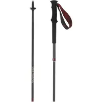 Salomon Bastones Quest Carbon Foldable