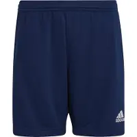 Adidas adidasPantalón entrenamiento Entrada 22 128 Team Navy Blue 2 Niño