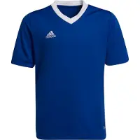 Adidas adidasCamiseta Entrada 22 116 Royal Blue Niño