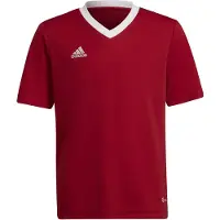 Adidas Camiseta De Manga Corta Entrada 22