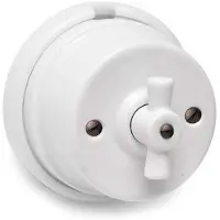 EDM Interruptor De Lazo De Porcelana Intage 10a 250v
