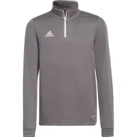 Adidas adidasSudadera entrenamiento Entrada 22 164 Team Grey Four Niño