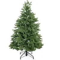 Evergreen Árbol de hoja perenne Roswell, altura de 150 cm, ancho de 150 cm
