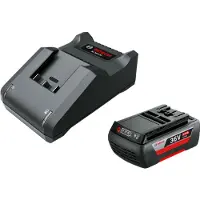 Bosch Home & Garden F016800609. Kit de inicio de baterías para herramientas Home & Garden, con cargador. Baterías de 36V de iones de litio, 2,0 Ah