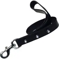Gloria Correa Para Perro Spiked