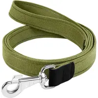 Collar Pet Correa Para Perro