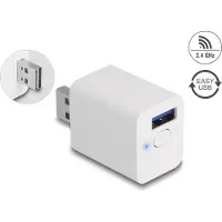 DeLOCK Interruptor Inteligente Wlan Easy-usb
