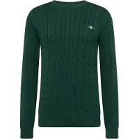 Gant Jersey verde oscuro