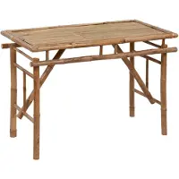 vidaXL Mesa plegable para jardín, 115x50x75 cm, bambú