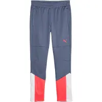 Puma Pantalón deportivo 'individualCUP' gris / rojo sangre / blanco