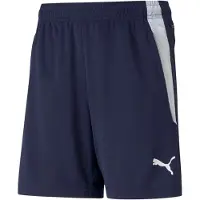 Puma Pantalón deportivo 'Team Liga' navy / blanco