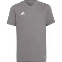 Adidas adidasCamiseta Entrada 22 116 Team Grey Four Niño