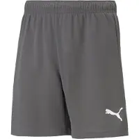 Puma Pantalón deportivo 'TeamRise' gris / blanco