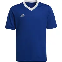 Adidas adidasCamiseta Entrada 22 176 Royal Blue Niño