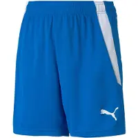 Puma Pantalón deportivo 'TeamLiga' azul oscuro / gris claro / blanco