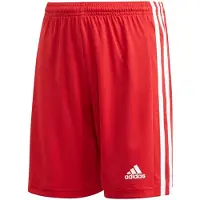 Adidas Pantalones Cortos Squadra 21