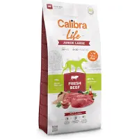 Calibra Life Junior, alimento seco para cachorros de razas grandes, con carne de res fresca, 12 kg