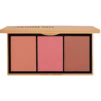 Ginza.se Colorete Blush Trio Sexed 4g