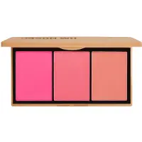 Jason Wu Colorete Blush Trio Beautiful Earthling 4g