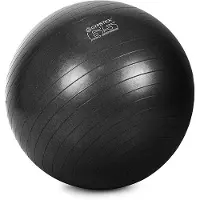 Gymstick Fitball Pro Exercise 65cm