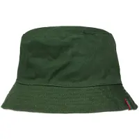 Redgreen Sombrero Viola