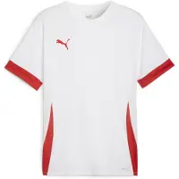 Puma Camiseta funcional 'TeamGoal Matchday' rojo / blanco