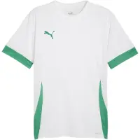 Puma Camiseta funcional verde / blanco