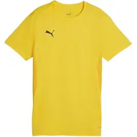 Puma Camiseta funcional 'Team Goal' amarillo
