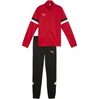 Puma Chándal 'TeamRise' gris / rojo / negro / offwhite