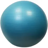 Sporti France Fitball Gym 65 Cm