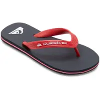 Quiksilver Chanclas Molokai Core