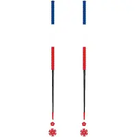Les batons d'Alain - Bastones esquí - France - Talla 135 cm - Azul