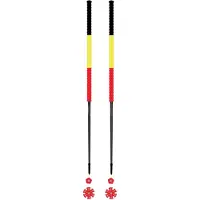Les batons d'Alain - Bastones esquí - Belgique - Talla 125 cm - Rojo