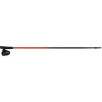 Viking Bastones Pro-trainer