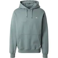 Iriedaily - Mini Flag 2 Hoody - Sudadera size XL, gris