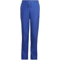 Adidas Pantalón deportivo azul real