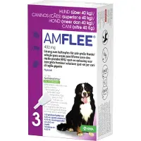 Amflee Spot-on Perro - 40-60 kg - 3 pipetas