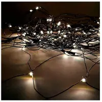 EDM Guirnalda de luces LED, luz cálida, 2 x 1,5 metros (1 unidad)