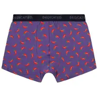 DEDICATED - Boxer Briefs Kalix Chilli - Ropa interior de diario size S, morado