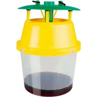 Masso Trampa Para Avispa Asiática 231609