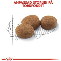 Royal Canin Comida Para Gatos Adultos Sterilised 37 4kg