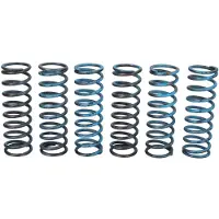 TRW Kit De Muelles De Embrague Mef313-6