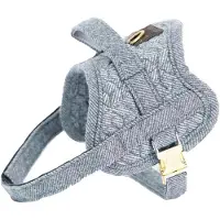 Kentucky Arnés Para Perros Body Safe
