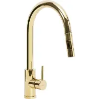 REA Grifo de cocina FRESH Gold