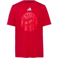 Adidas adidasCamiseta FC Bayern DNA Graphic L Team Power Red 2 Hombre