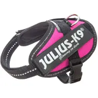 JULIUS K-9 IDC Power Arnés Baby 1 - 3XS - Rosa