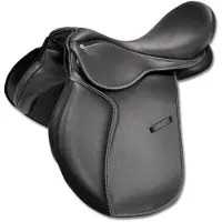 Waldhausen Silla de doma universal Economic para pony, color negro, 39 cm / 15,5 pulgadas