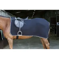 Riding World Manta para caballo de la marca , modelo "Outdoordecke", tipo "Nierendecke" (manta para riñones), fabricada en polarfleece de 220D, color: /gris, talla: 140 cm