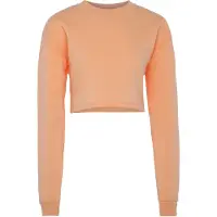 Exide Sudadera melocotón