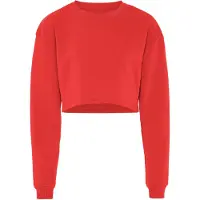 Exide Sudadera rojo